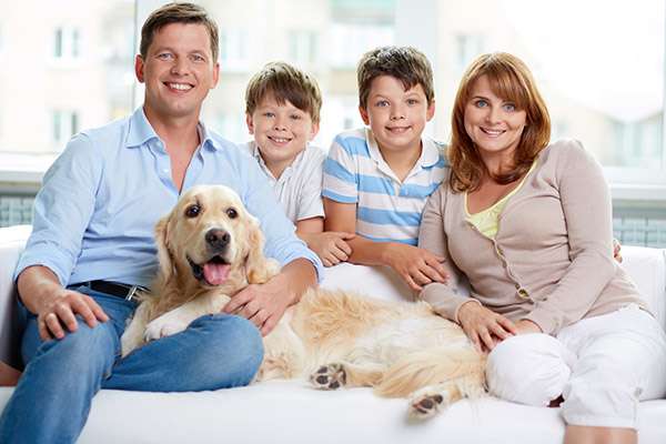 Why Choose One Family Dentist for Everyone in Your Family from Davis & Dingle Family Dentistry in Columbia, SC